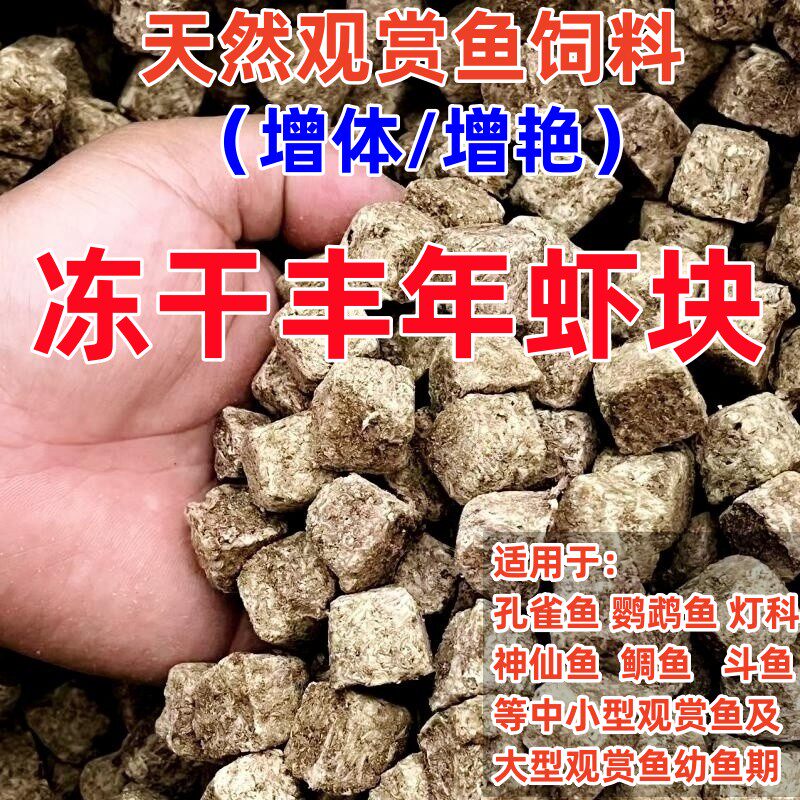 宝立水族