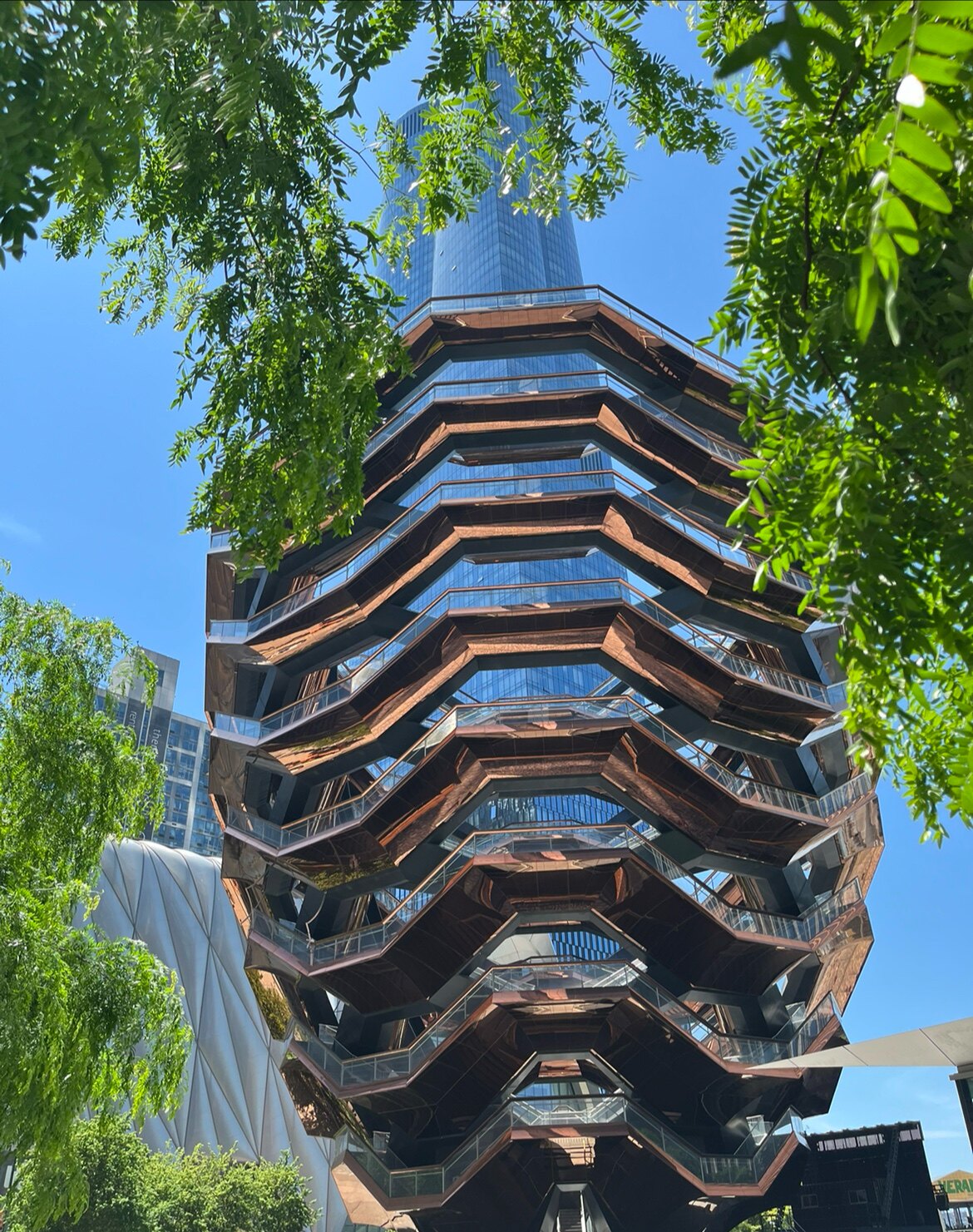 北美夏洛特