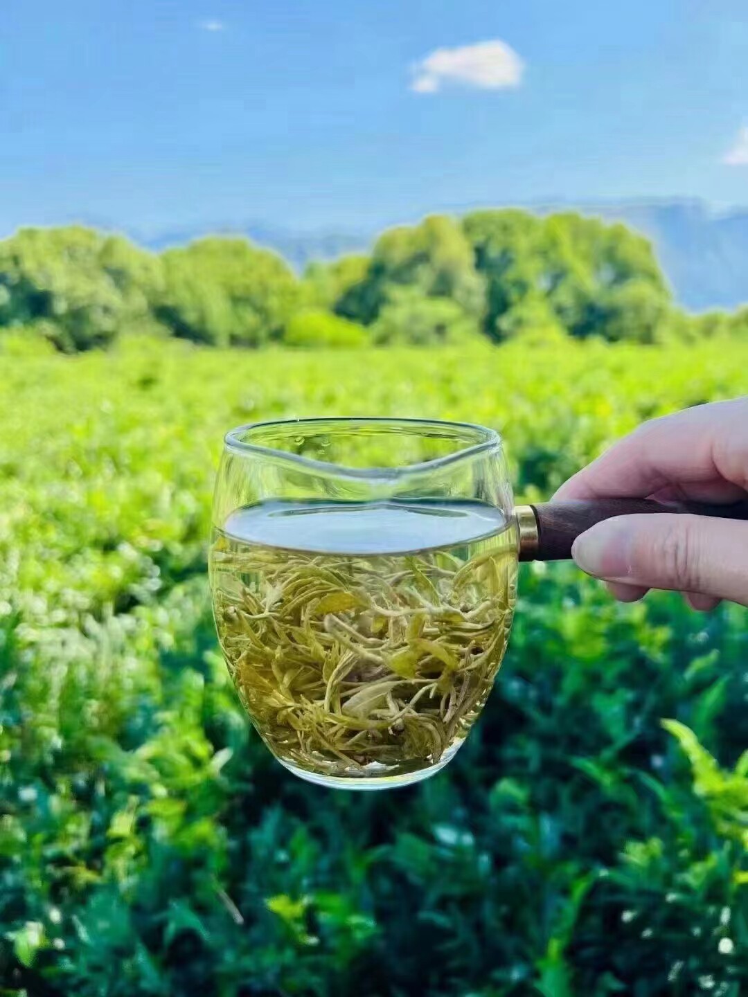 茶香冠品牌