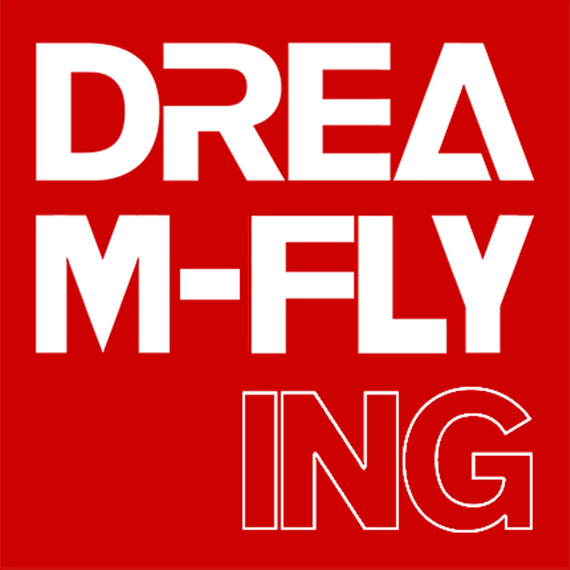 dreamflying旗舰店 店铺LOGO