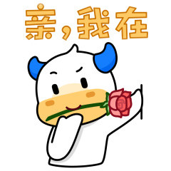 上海新华雄电子