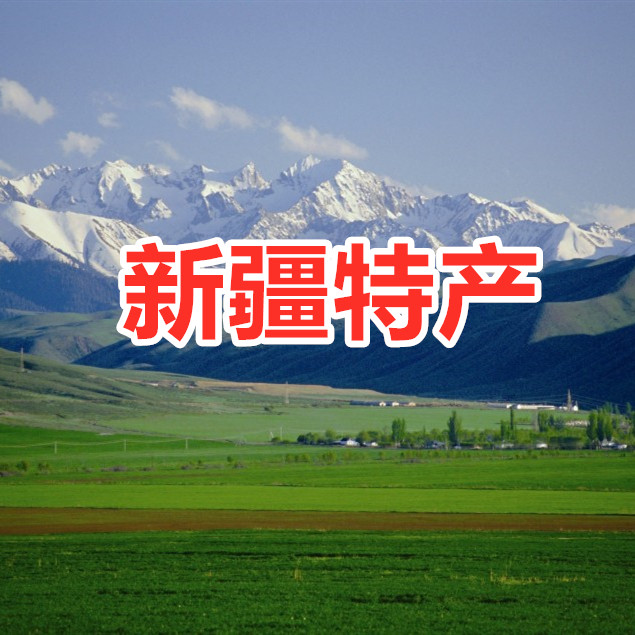 新疆大美特产