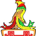 上海凤凰自行车专销店