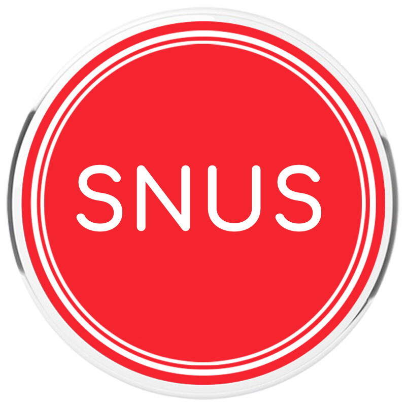 瑞典Snus