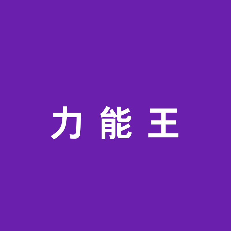 广东力能王实业
