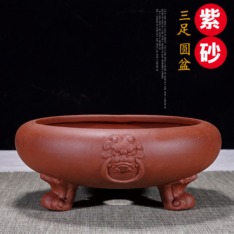 龙杰紫砂盆艺