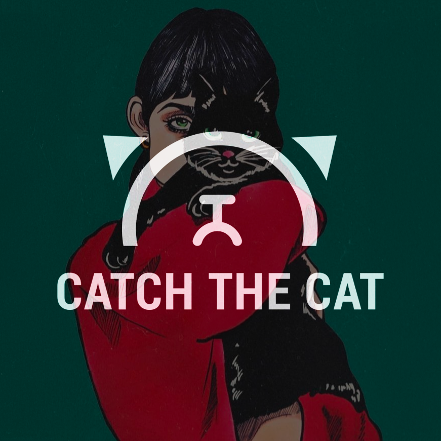抓住小猫