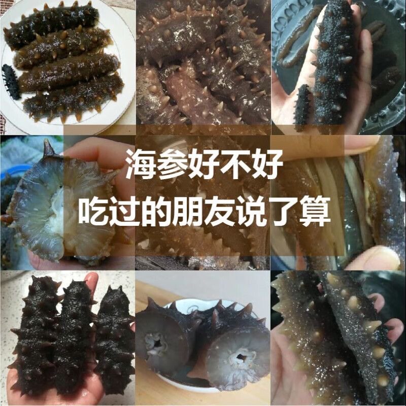 大连31年老渔民海参