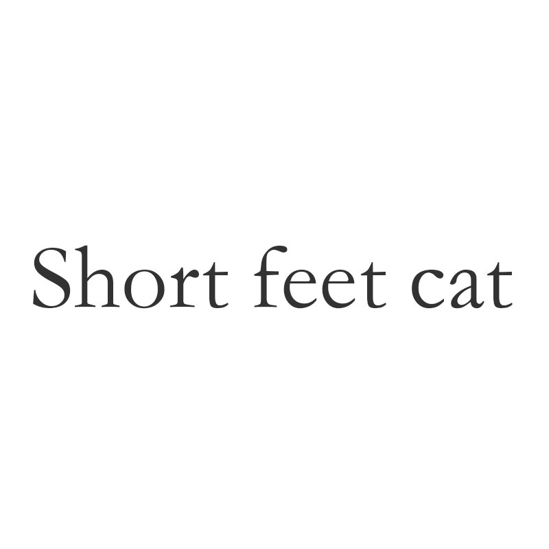 Short feet cat 短脚猫