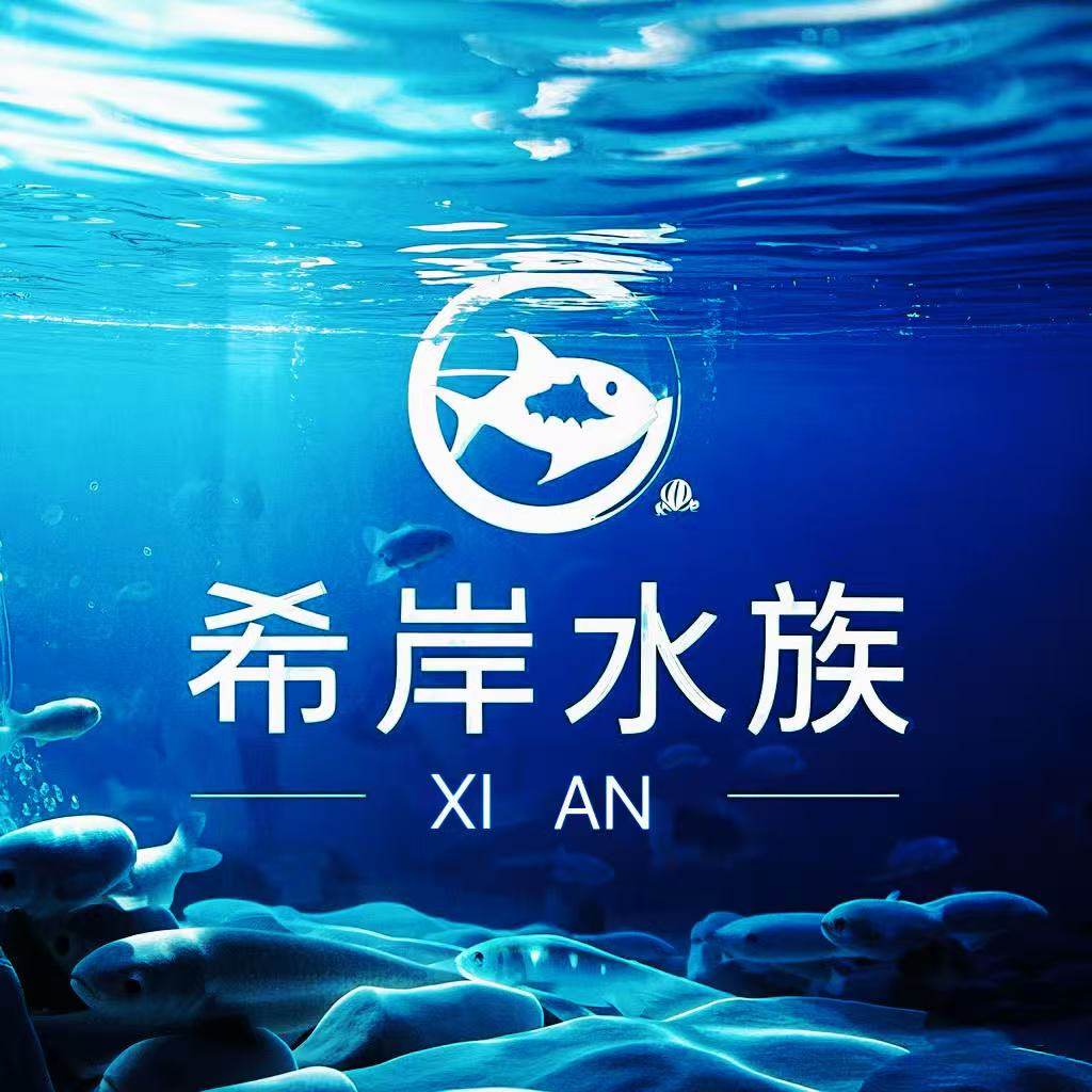 希岸水族