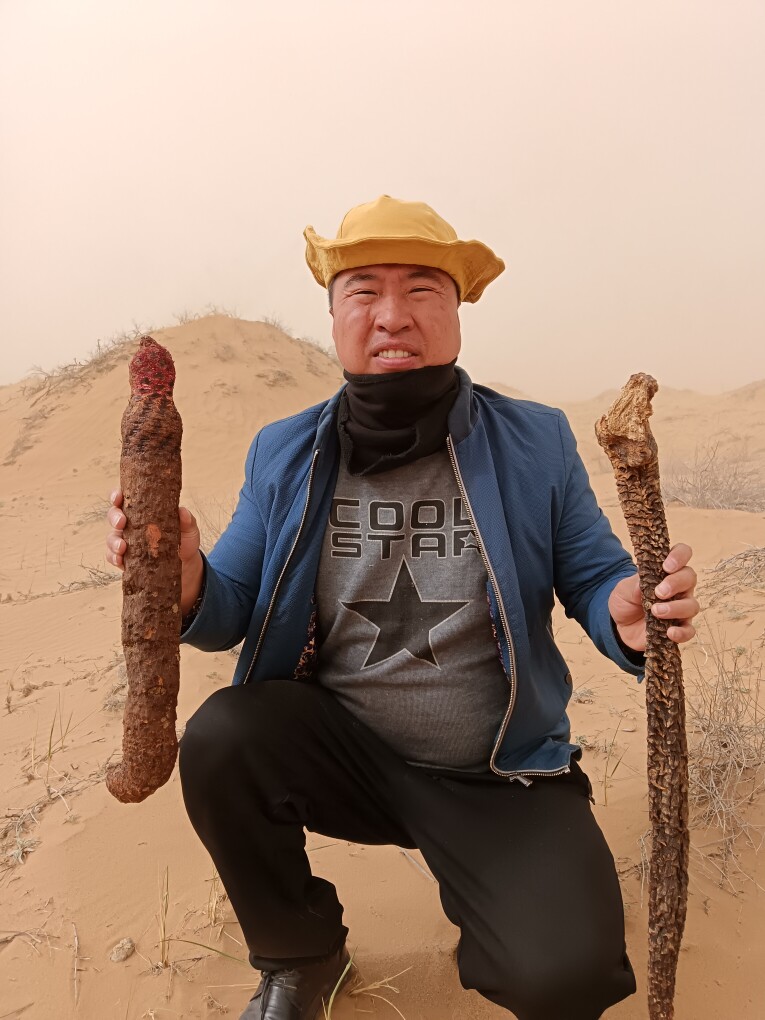 阿拉善左旗土特产