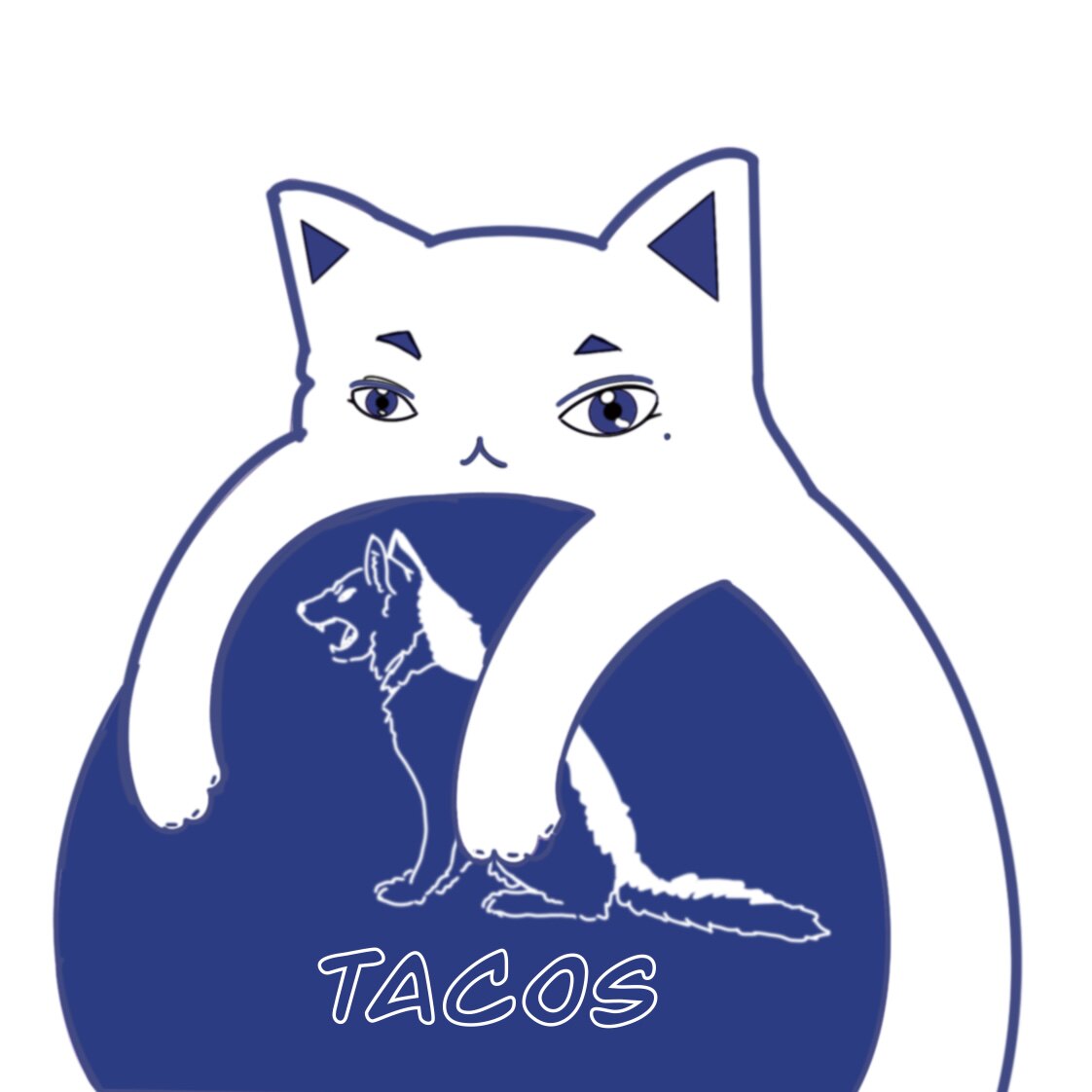 TACOS它cos