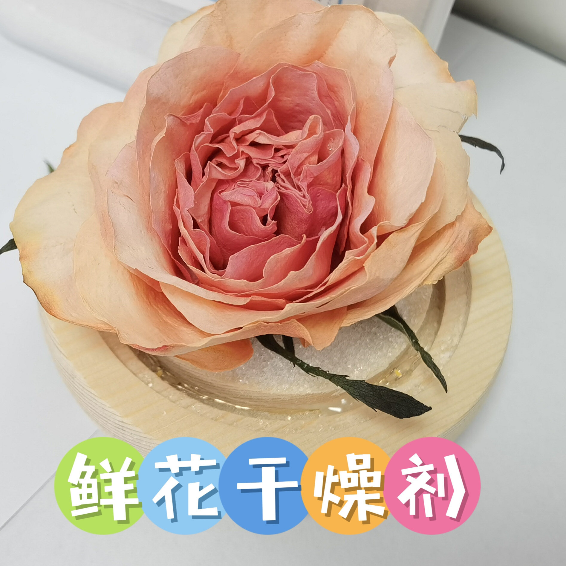 卖火柴的小菇凉