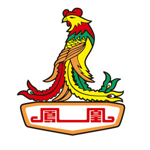 上海凤凰医疗集团工厂店
