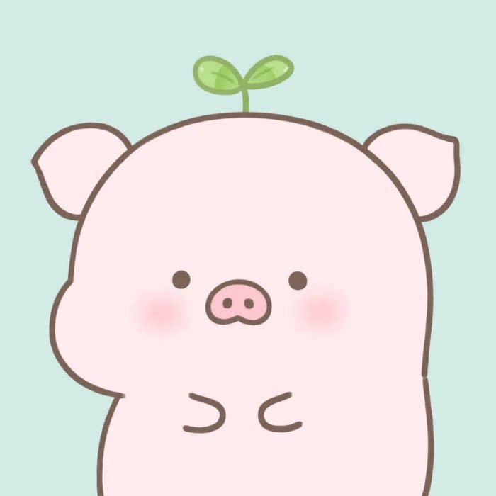 小猪diy配件