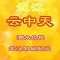云中天 店铺LOGO