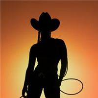 Urban Cowboy 都市牛仔