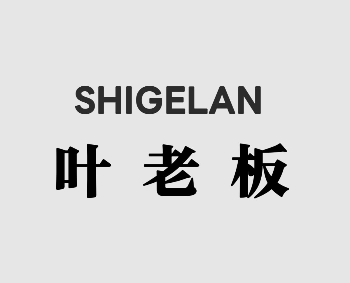 叶老板的女装店 店铺LOGO
