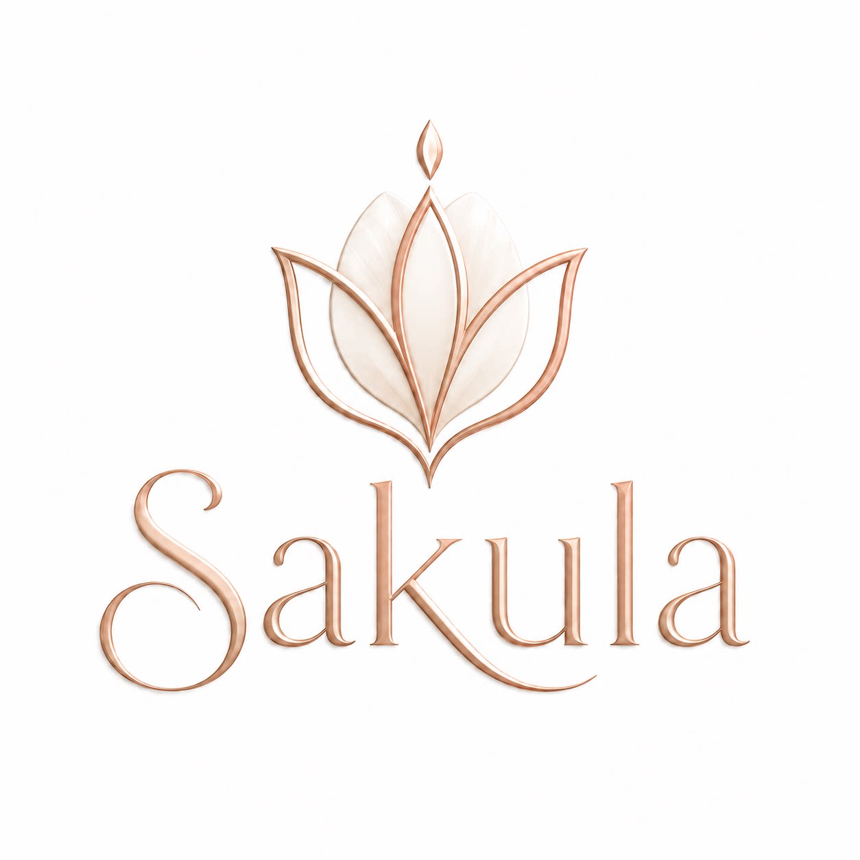 Sakula全球精选