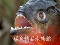 猛鱼精品水族馆