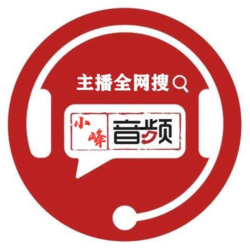 小峰音频工作室主播网红直播声卡麦克风
