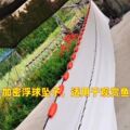 非凡网业