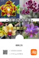 麒麟兰苑