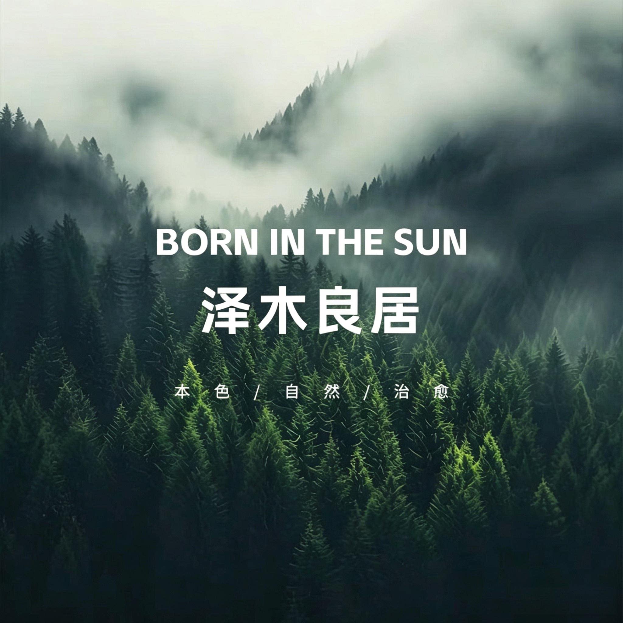 泽木良居 店铺LOGO