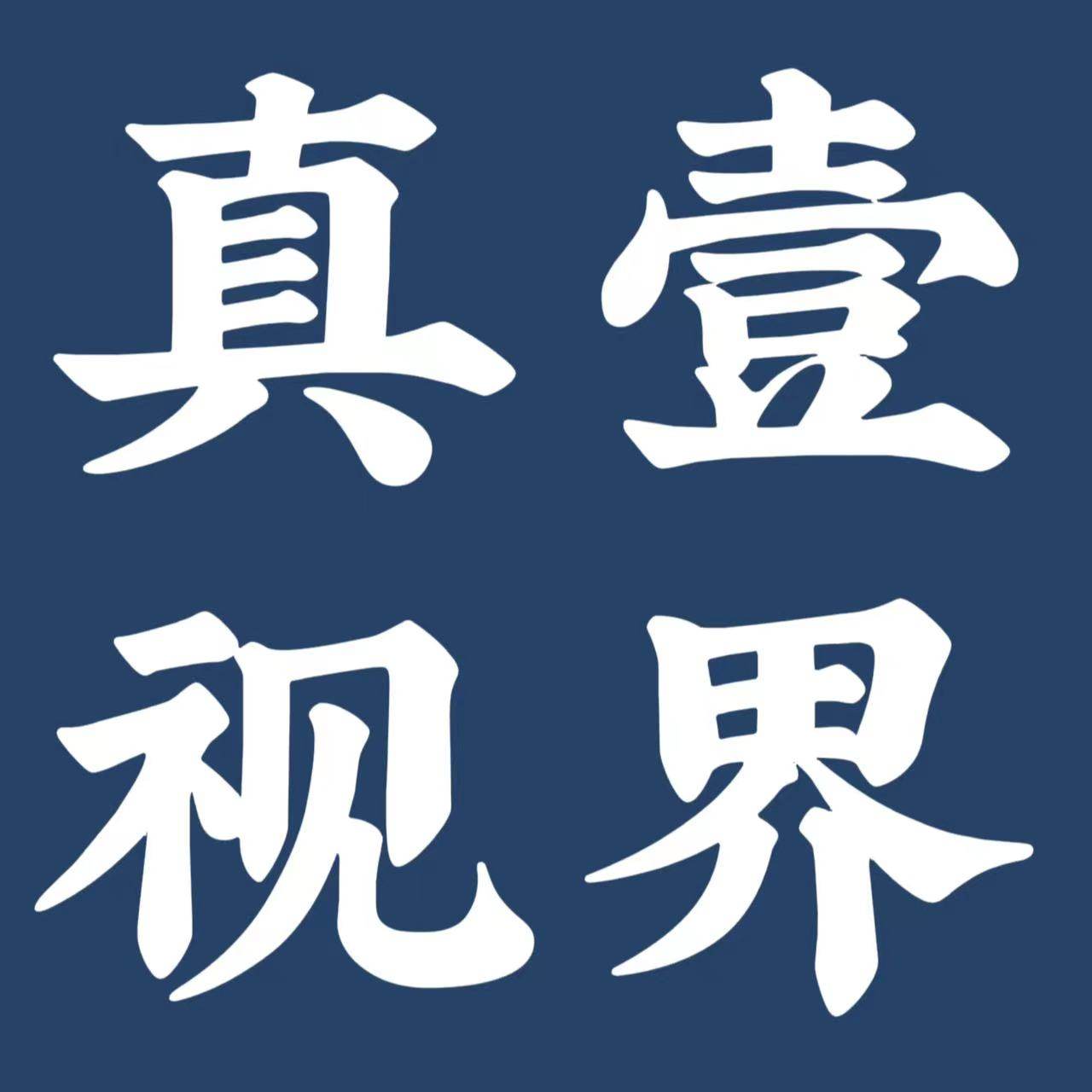 真一视界