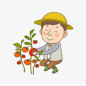 小财财的草帽店