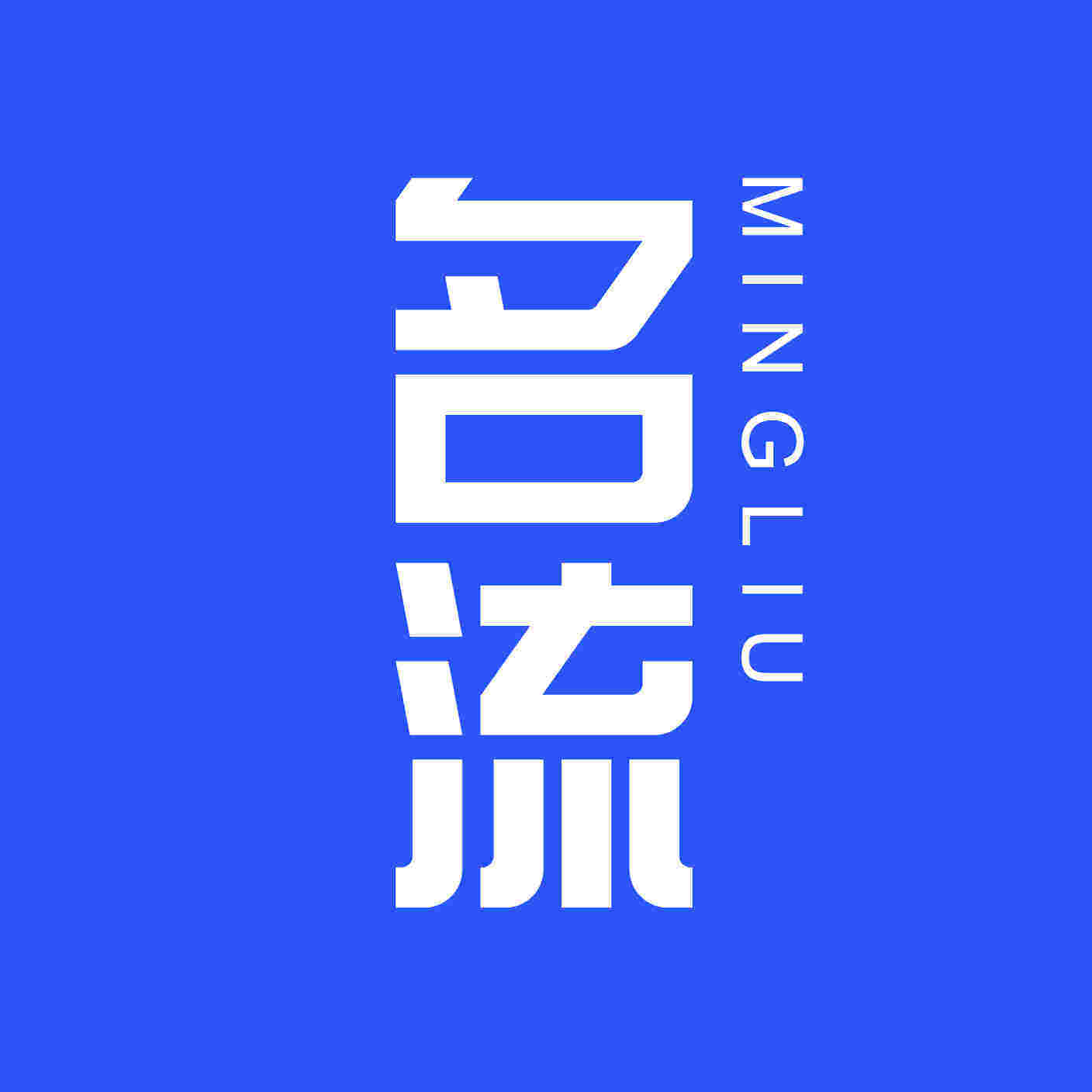 名流官方旗舰店 店铺LOGO