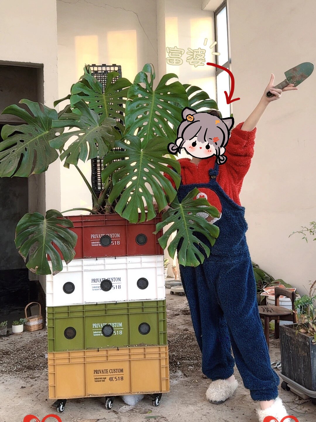 观野园艺