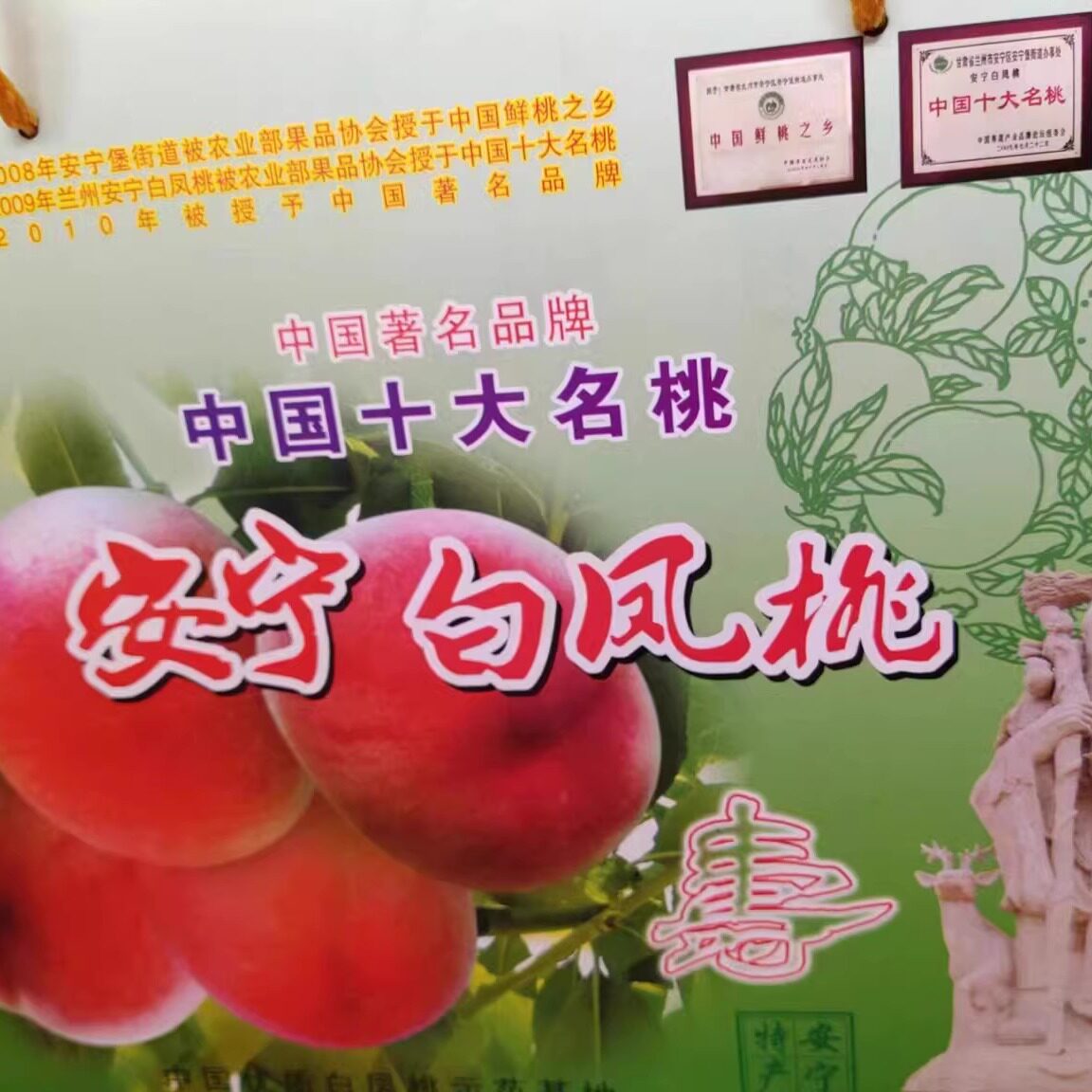 兰州安宁白凤桃形象店