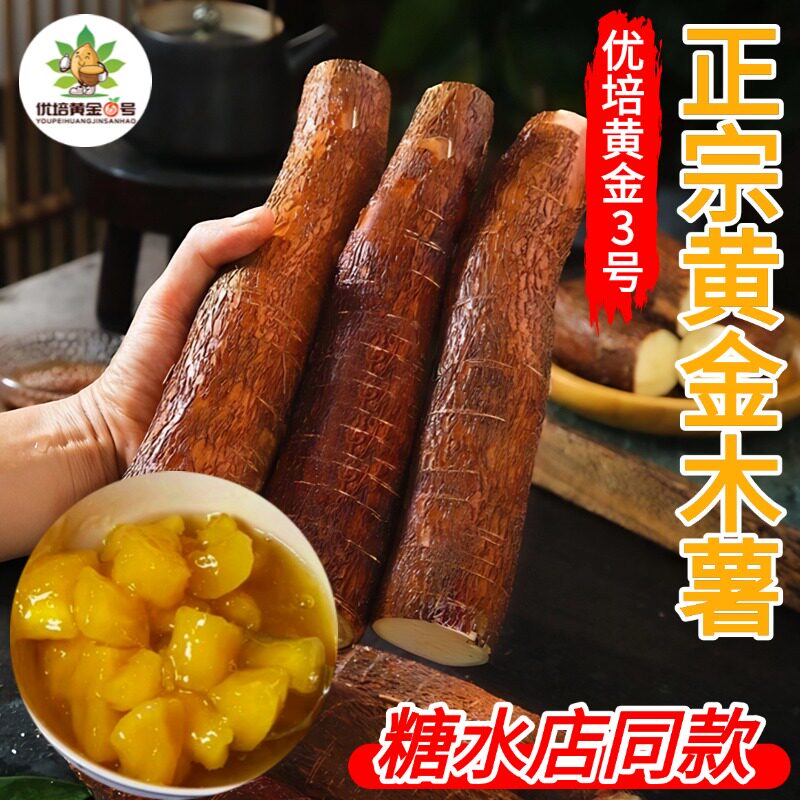 正宗广西黄肉木薯供应链