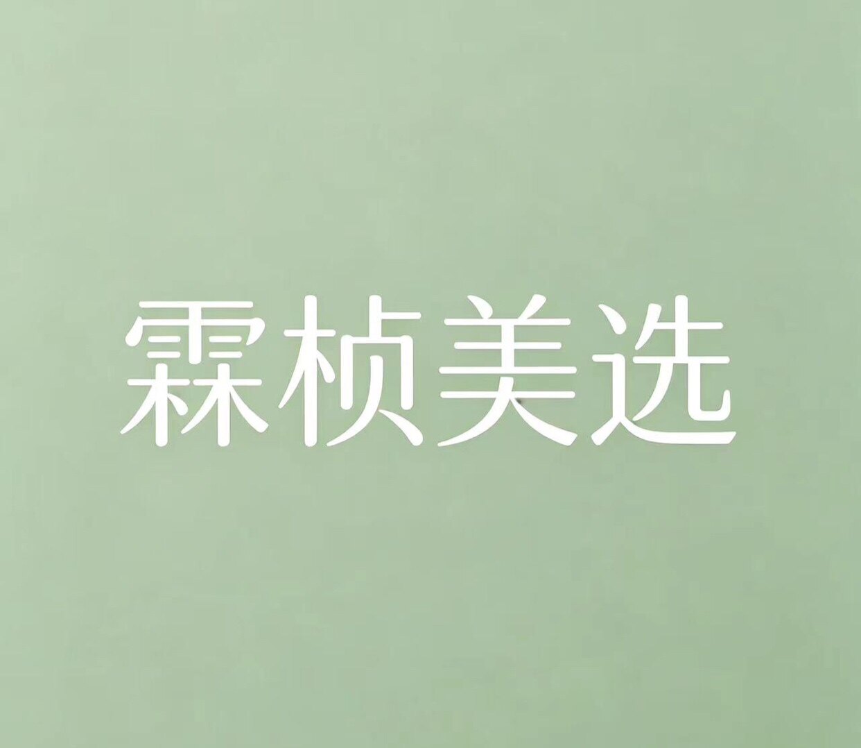 霖桢美选 店铺LOGO