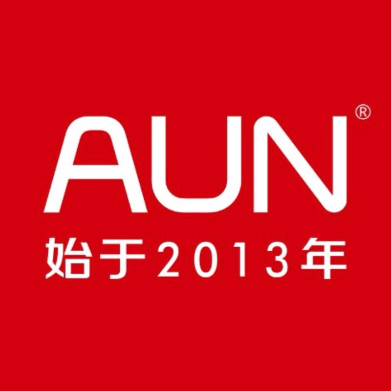 AUN国潮企业店 店铺LOGO
