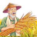 米富翁生态农场