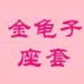 金龟子座套