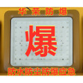 华荣中科EX