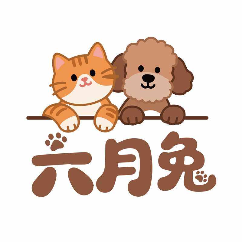 六月兔宠物用品店