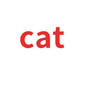 CAT猫视野眼镜店