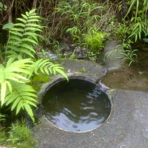 辉煌科技 009