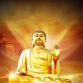 佛缘禧阁