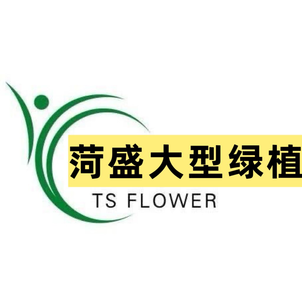 菏盛大型绿植
