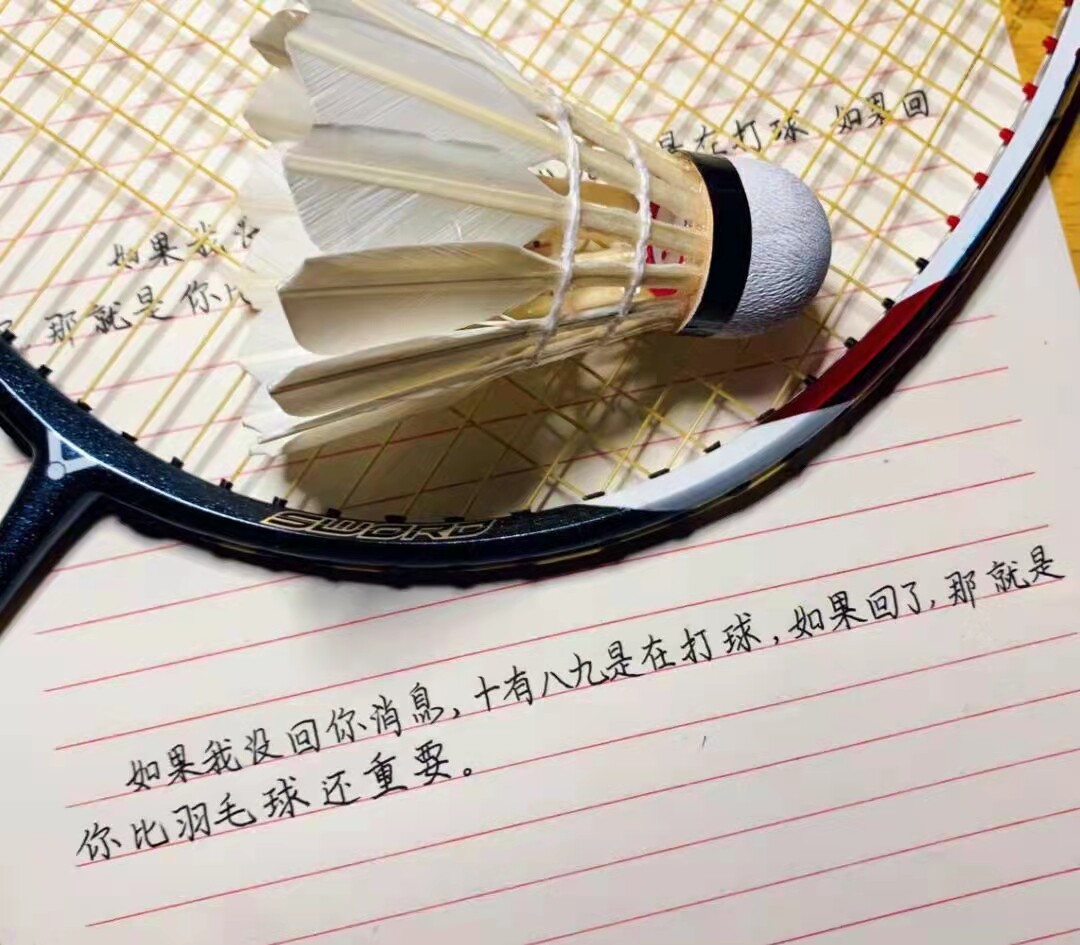 聪明哥体育 只售正品