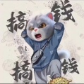MY改色膜业