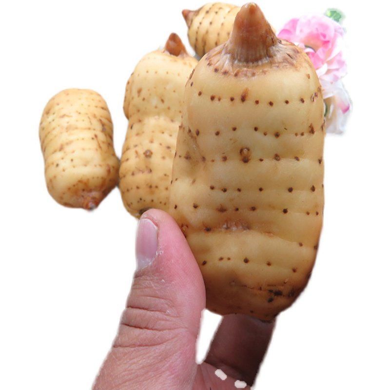 昭通御膳食品有限公司