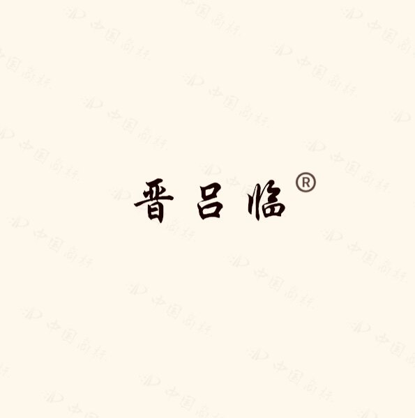 晋吕临企业店