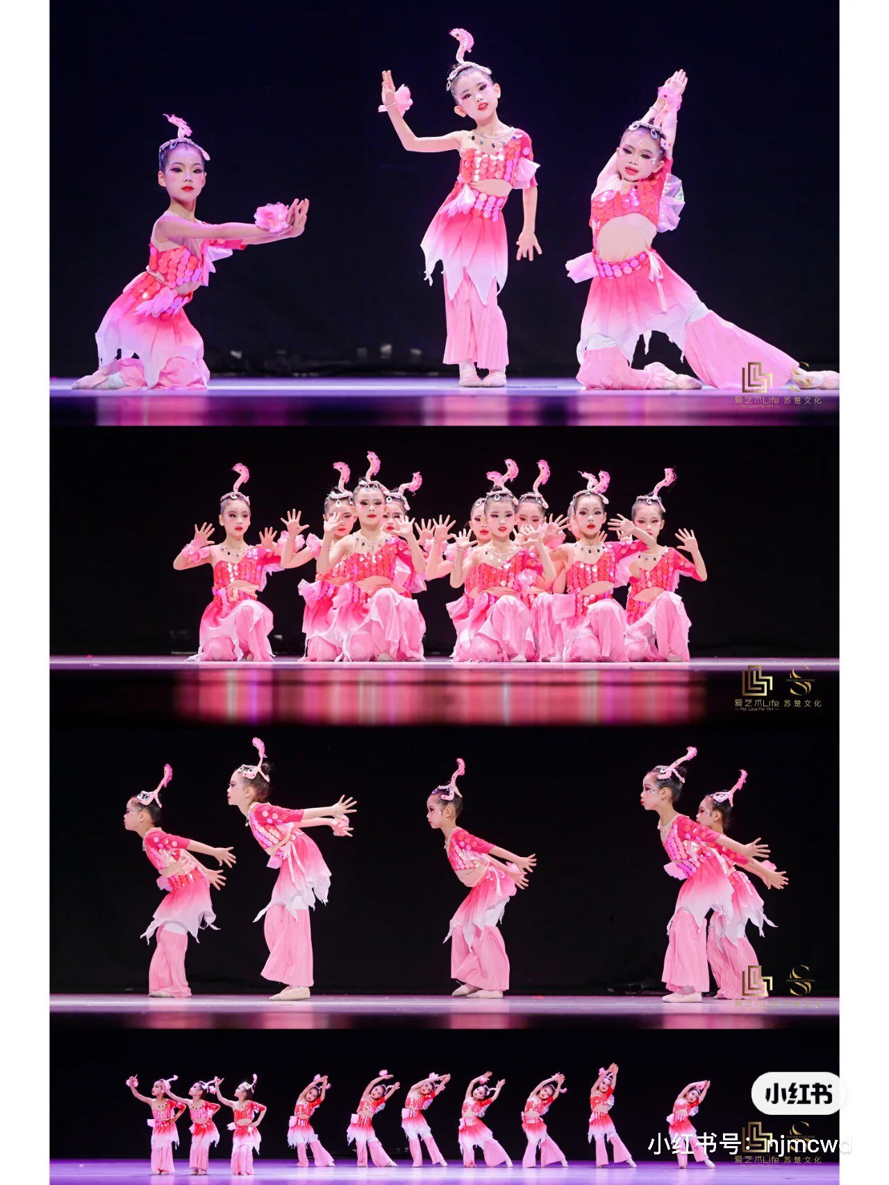 舞之韵表演演出服饰