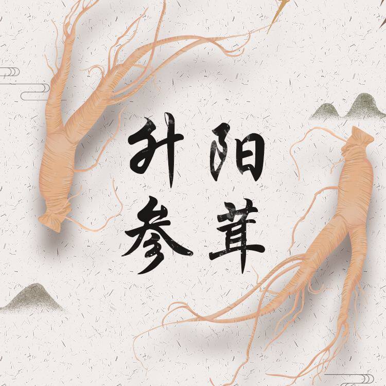 升阳参茸 长白山特产 店铺LOGO